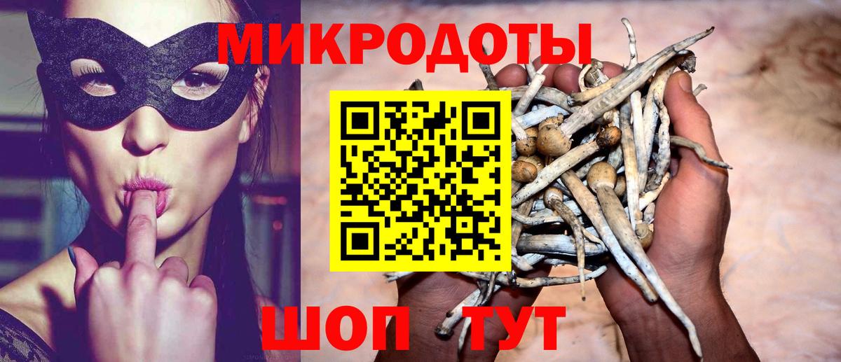 Псилоцибиновые грибы Psilocybine cubensis  Вход с VPN  Галлюциногенные грибы GOLDEN TEACHER  Коломна 