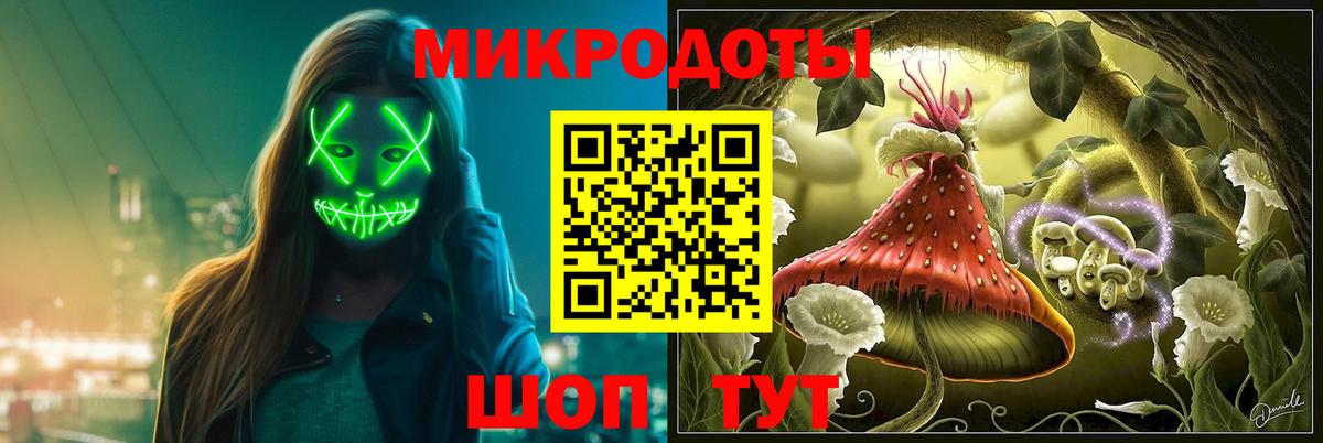Псилоцибиновые грибы Psilocybe Коломна